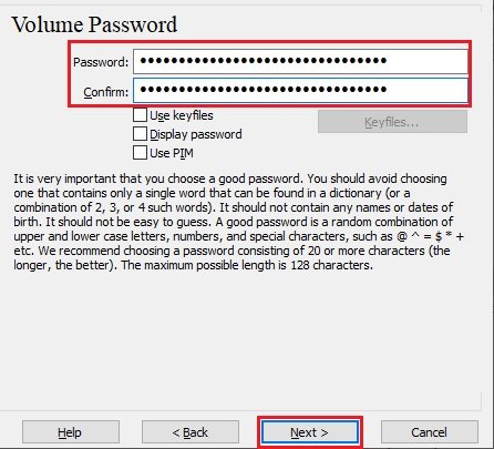 Tela Volume Password com os dois campos de senha destacados